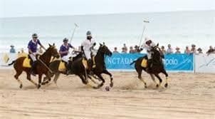 Shire Economic Development Advisory Committee: yes for polo no for car rally